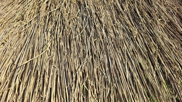Dry thatched roof texture background, Dry Straw Texture Background, Natural Hay Pattern, Rustic Agriculture Concept