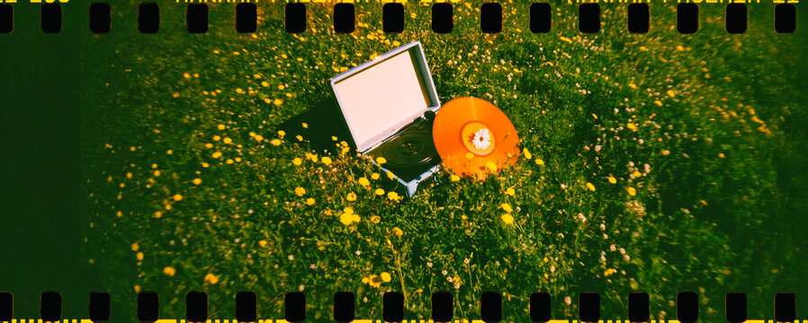 turntable and vinyl in a field of yellow wildflowers, 35mm film