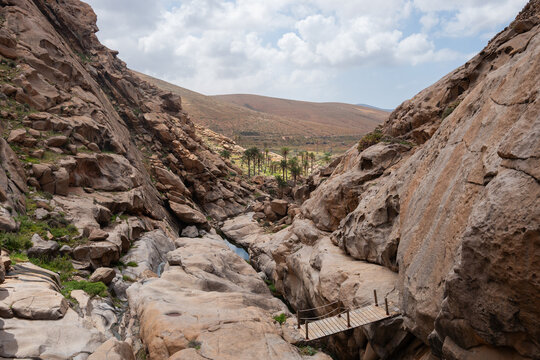 Oasis canyon with palm trees and rocky gorge in Fuerteventura