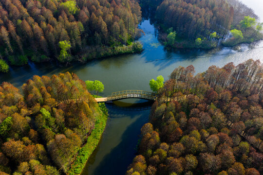 Aerial View of Canal Cutting Through Autumn Forest
