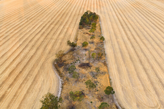 Wheel tracks and lines around vegetation in a dry farmers field