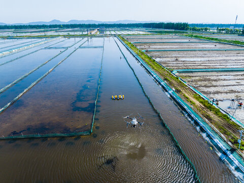 Drone feeding over aquaculture fish ponds from aerial view