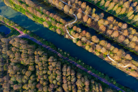 Top Down Aerial View of Canal Cutting Through Autumn Forest