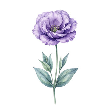 Watercolor Wildflower Clip Art