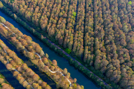Top Down Aerial View of Canal Cutting Through Autumn Forest