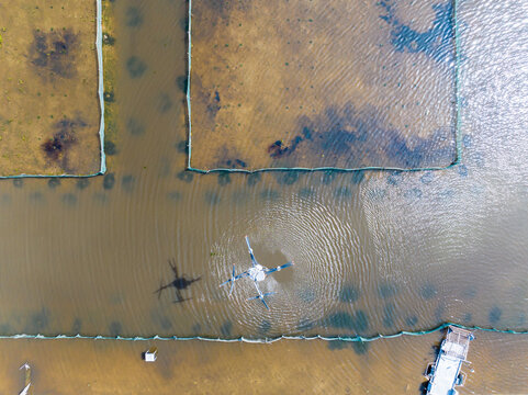 Drone feeding over aquaculture fish ponds from aerial view