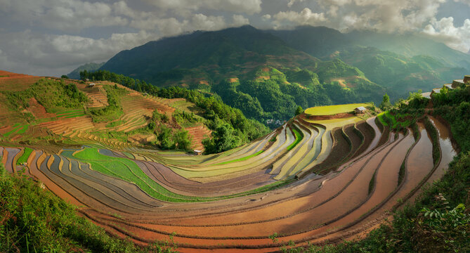 Panoramic terraces and mountains