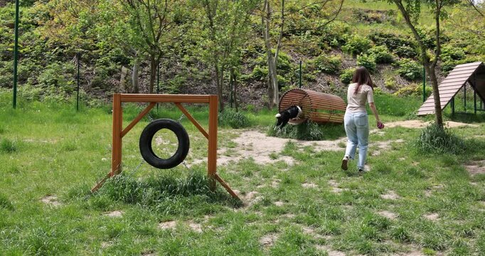Woman training her dog on agility obstacles in park