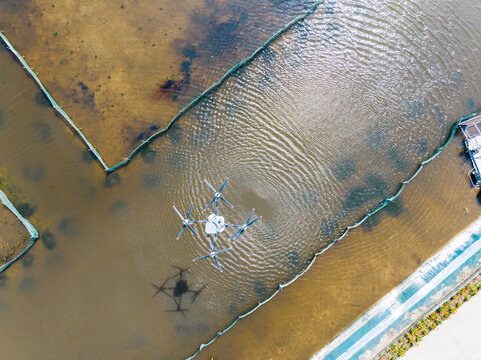 Drone feeding over aquaculture fish ponds from aerial view