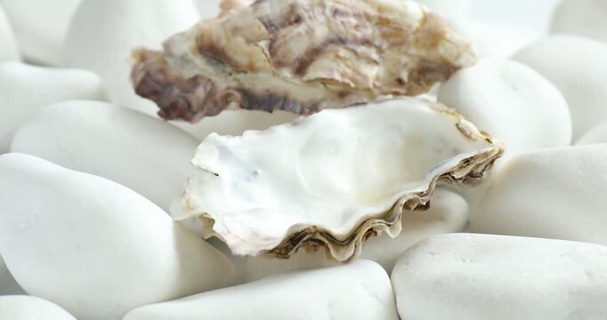 Woman taking pearl from oyster shell on white stones, closeup