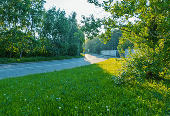 Fototapeta premium Sunlit country road bending through green meadow and trees