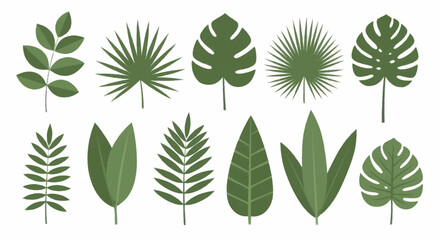 Collection of various green tropical leaves and foliage elements. © Truk
