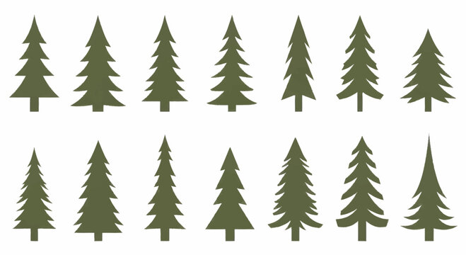 Collection of various green evergreen pine trees in different shapes and sizes.
