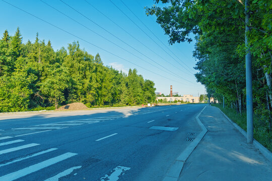 Empty suburban road bordered by trees under blue sky