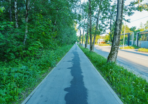 Tree-lined sidewalk beside a suburban road at sunrise
