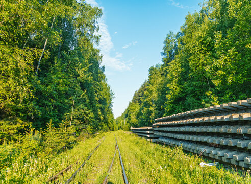 Overgrown railway track through green forest with stacked sleepers
