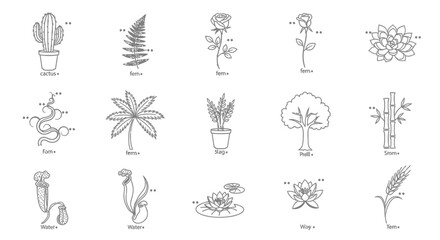 Obraz premium Set of Hand-Drawn Botanical Icons: Plants, Flowers, and Trees