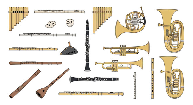 Collection of various musical brass instruments.