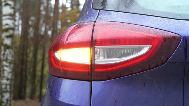 Turn signals flashing indicate intention to turn or change lanes. Tail lights indicating correct direction. Back light signals for turning car on street. Blue car on road with rear left yellow light