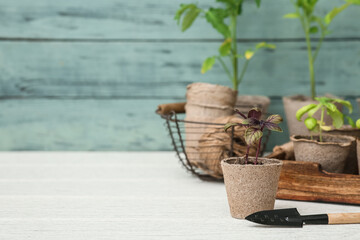 Peat pots with plant seedlings and gardening shovel on light wooden table © Pixel-Shot