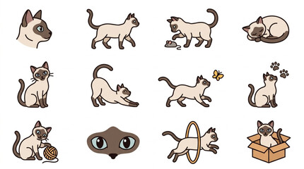 Fototapeta premium Collection of Siamese Cat Poses and Activities.