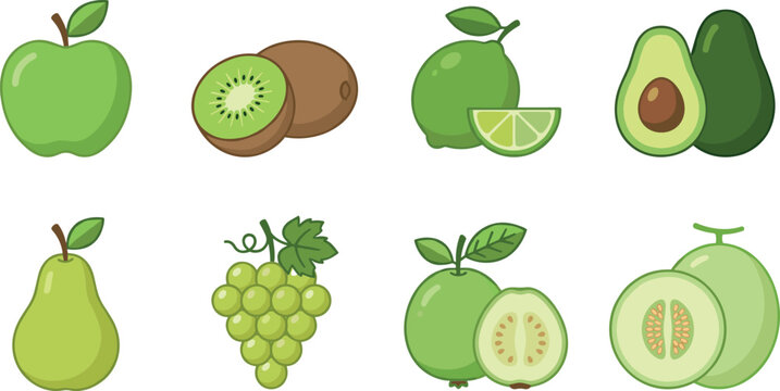 Colorful Flat Vector Illustration of Green Fruits Including Apple Kiwi Lime Avocado Pear Grapes Guava and Melon