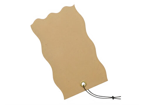 Blank brown cardboard paper tag with a string