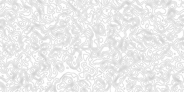 Gray topographic map lines on white background  abstract geographic pattern