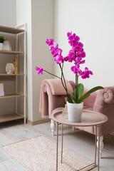 Interior of living room with pink armchair and orchid flower on table © Pixel-Shot
