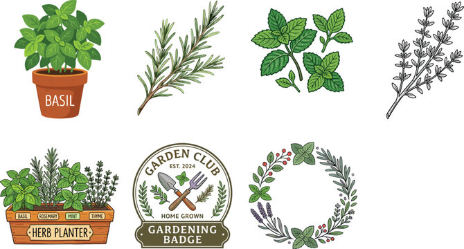 Vintage hand drawn herb garden vector set featuring basil rosemary mint thyme and gardening club badge
