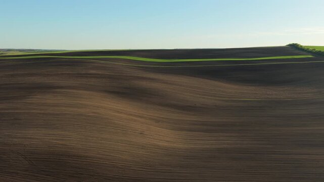 Aerial drone view of sweeping undulating plowed farmland with a stripe of green crops on the horizon under a clear blue sky, Czech countryside, Moravia, Czech Republic.
