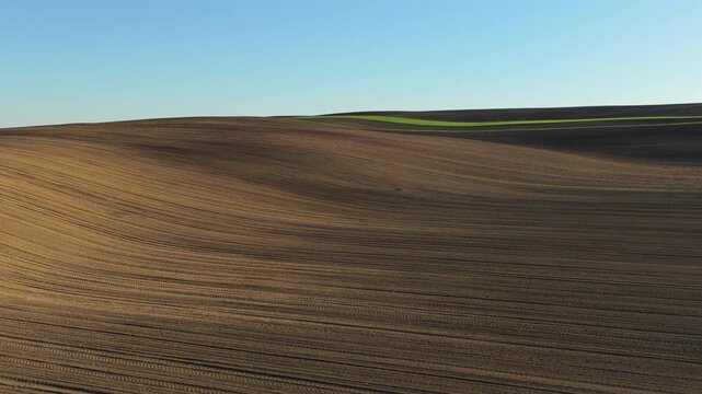 Aerial drone view of curved undulating plowed hillside with parallel furrow lines and a thin strip of green crops on the ridge, Czech countryside, Moravia, Czech Republic.