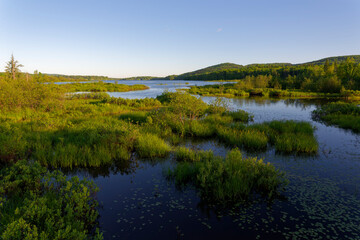 Fototapeta premium The Saint-Charles Lake, north of Quebec City, seen from the northern marsh (Marais du Nord) (Stoneham-et-Tewkesbury, Quebec, Canada)