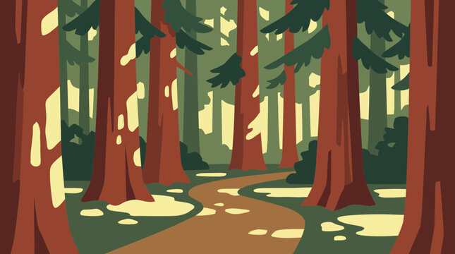 Ancient Redwood Forest Path Dappled Sunlight