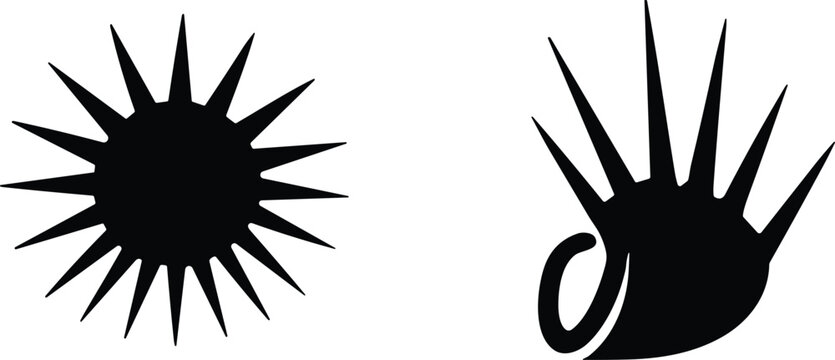 Black silhouettes of a radial starburst sunburst and a spiky spider conch shell for nautical design