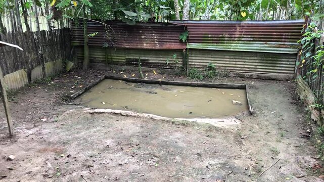 Peruvian Natural Pond