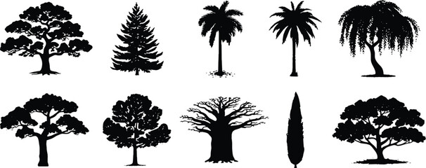Large collection of black tree silhouettes including palm oak spruce baobab willow and cypress isolated on white background © Sree