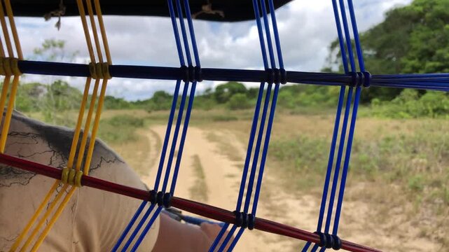 Travel Through Nature