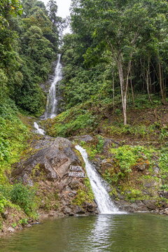 Beautiful waterfall 'Crystal' cascading through the lush green Amazon rainforest in Morona Santiago province, Ecuador, showcasing South American eco-tourism and untouched natural landscapes