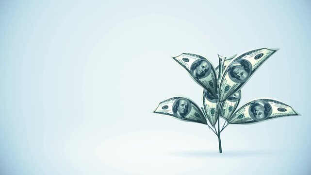 Dollar Tree Growing with Alpha Matte for Financial Asset Animation Concept in 4K Ultra HD footage
