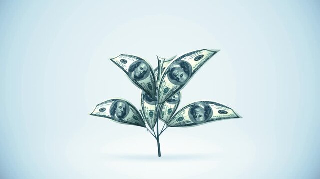 Dollar Tree Growing with Alpha Matte for Financial Asset Animation Concept in 4K Ultra HD footage
