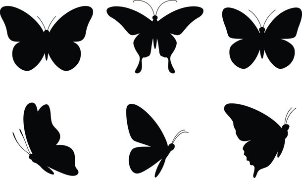 Six black butterfly silhouettes in various poses and angles insect