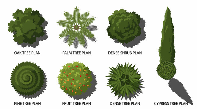 Set of various top view garden trees and shrubs for architectural landscaping plans.