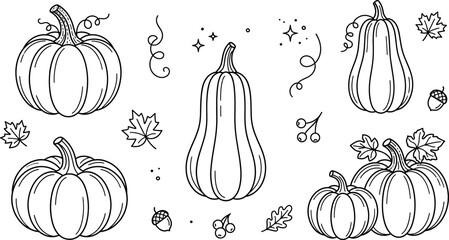 Pumpkin and Squash Autumn Harvest Icon Set for Thanksgiving Holiday Season Vector Designs © MstBabli