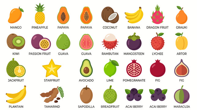 Variety of Fresh Fruit Types.