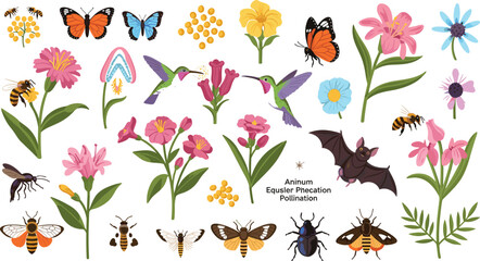 Animal pollinators and wildlife pollination vector icons set featuring hummingbirds bat honeybees butterflies and garden wildflowers for ecology science textbook design © AdhinChandra