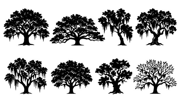 Southern live oak tree silhouettes with Spanish moss black and white vector set isolated on white background