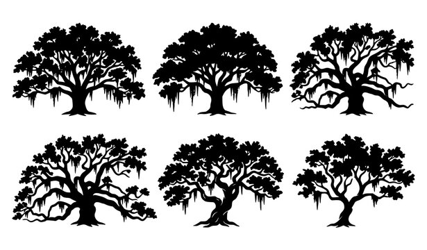 Black and white southern live oak trees with hanging Spanish moss vector graphics