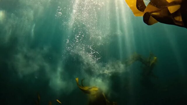 Underwater light rays shine through dark stormy ocean with bubbles and sea plants
