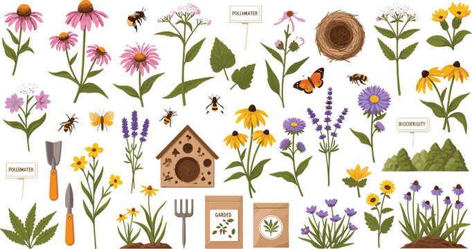 Pollinator garden vector elements set featuring echinacea rudbeckia wildflowers insect hotel and gardening tools for sustainable landscaping advertising material